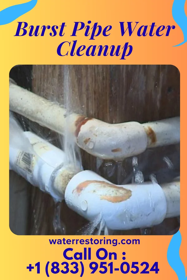 Burst Pipe Water Cleanup in Kulpmont, PA