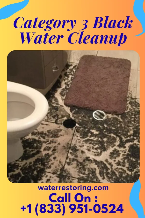 Category 3 Black Water Cleanup in Kulpmont, PA