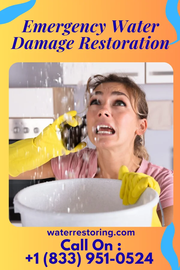 Emergency Water Damage Restoration in Kulpmont, PA
