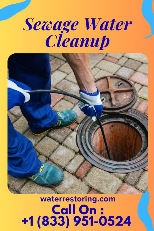 Sewage Water Cleanup in Kulpmont, PA
