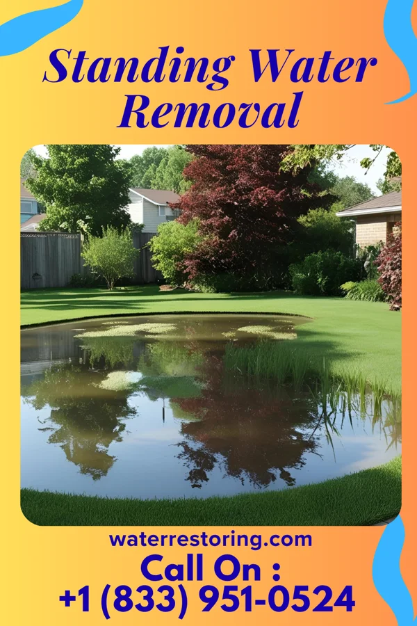 Standing Water Removal in Kulpmont, PA